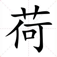 荷意思|荷:汉字荷的意思/解释/字义/来源